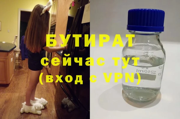индика Гусиноозёрск
