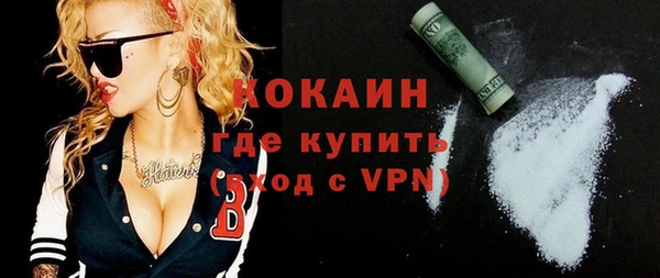 индика Гусиноозёрск