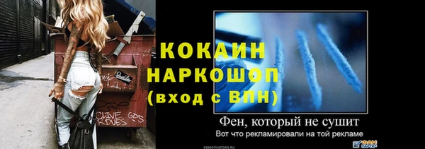 индика Гусиноозёрск