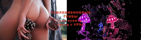 индика Гусиноозёрск