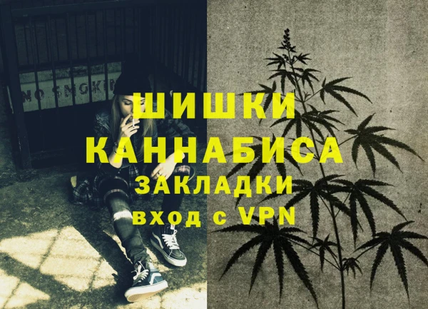 индика Гусиноозёрск