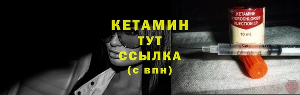 индика Гусиноозёрск