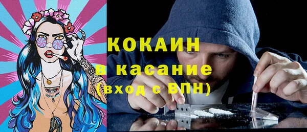 индика Гусиноозёрск