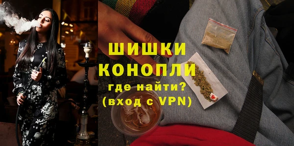 индика Гусиноозёрск