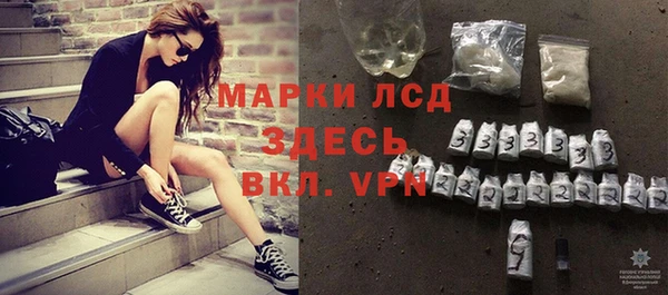 индика Гусиноозёрск