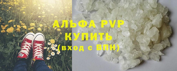 индика Гусиноозёрск