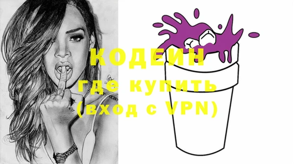 индика Гусиноозёрск